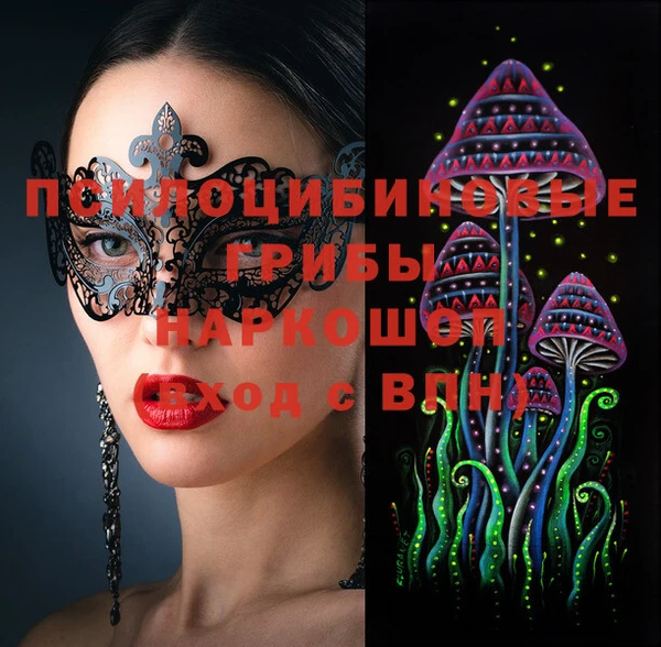 мет Алексин