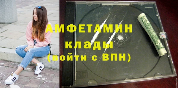 мет Алексин