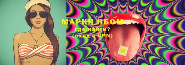 мет Алексин