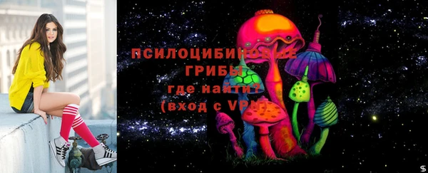 мет Алексин