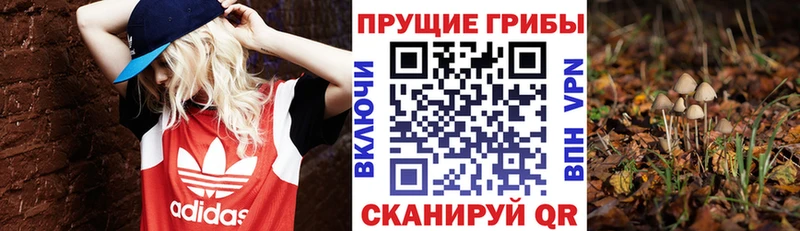 где купить   Златоуст  мега как зайти  Галлюциногенные грибы Psilocybine cubensis 
